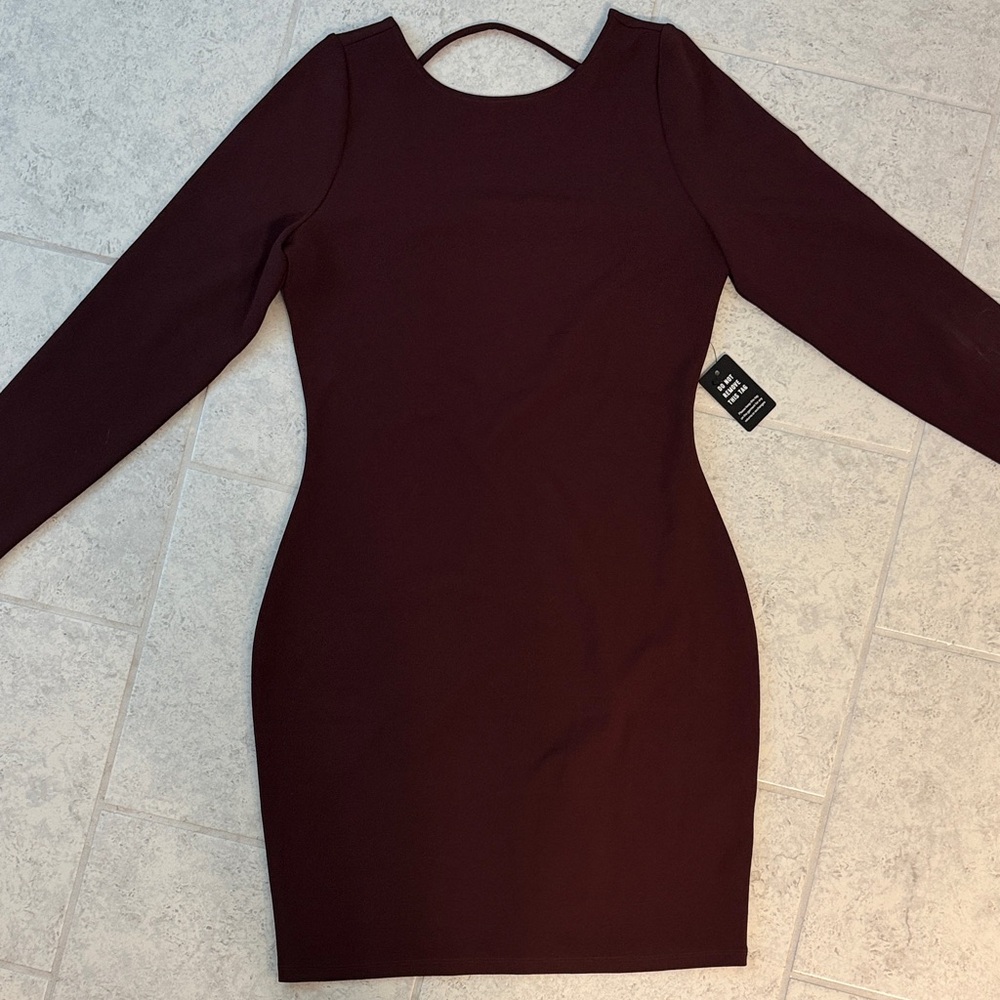 Express Elegant Long Sleeve Maroon Dress